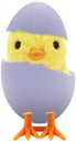 Cute little baby chick coming out of a broken colourful painted Easter egg isolated on white transparent background PNG Royalty Free Stock Photo