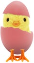 Cute little baby chick coming out of a broken colourful painted Easter egg isolated on white transparent background PNG Royalty Free Stock Photo