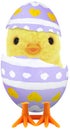 Cute little baby chick coming out of a broken colourful painted Easter egg isolated on white transparent background PNG Royalty Free Stock Photo