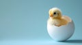 Cute little yellow chicken in an eggshell on a blue background Royalty Free Stock Photo