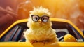 Cute little yellow chicken wearing sunglasses sitting on a yellow car