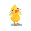 Cute little yellow duck chick character crying cartoon vector Illustration