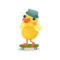 Cute little yellow duck chick character in grey hat riding on skateboard cartoon vector Illustration Royalty Free Stock Photo