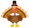 Thanksgiving Turkey Bird Wearing A Pilgrim Hat Royalty Free Stock Photo