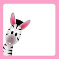 Cute little zebra on white background