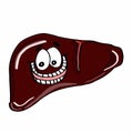 Cute liver illustration white background Royalty Free Stock Photo