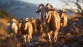 Cute livestock grazing on a rural farm in the meadow generated by AI