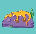 cute lizard sleep sunbathing on rock. Isolated animal illustration. Flat Style Sticker Icon Premium vector Royalty Free Stock Photo