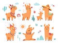 Cute llama. Alpaca characters, wool cartoon animals with flowers. Baby lama with mother, funny birthday fluffy wild