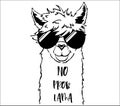 Cute llama face with sunglasses children's t-shirt print. No probllama funny quote.
