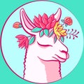 Cute llama with flowers and leaves around her head. Pink alpaca with roses, plants and herbal elements Royalty Free Stock Photo