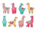Cute llama. Funny alpaca, cute llamas mexican wildlife characters. Creative tribal wool animals, isolated cartoon