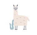 Cute llama. Happy kawaii animal in kids Scandinavian style. Exotic lama character, adorable funny fluffy mammal. Scandi