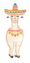 Cute Llama illustration, peru watercolor animale. Alpaca Clipart for decorating designs Royalty Free Stock Photo