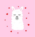 Cute llama illustration on pink background with hearts in cartoon flat style. Alpaca in love