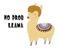 Cute llama print. childish vector illustration for kids t shirt,clothes