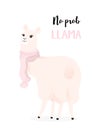 Cute llama with a scarf. No prob llama Royalty Free Stock Photo