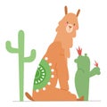 Cute llama sitting between cactuses