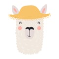 Cute llama in straw hat cartoon character illustration. Royalty Free Stock Photo