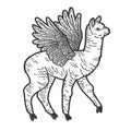 Cute llama with wings. Scratch board imitation. Black and white hand drawn image.