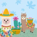 cute llamas cactus