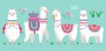 Cute Llamas. Funny hand drawn alpaca characters