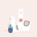Cute llamas and succulents, vector illustration