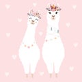 Cute llamas for wedding invitation