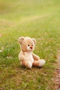 Cute lost abandoned soft plush stuffed teddy bear sitting on ground. Child soft toy on green grass in park outdoors. Lost lonely Royalty Free Stock Photo