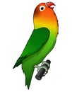 Cute lovebird cartoon isolated