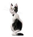 Cute lovely black and white cat Royalty Free Stock Photo