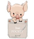 Cute lovely cartoon pig on pocket. Vector illustration
