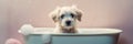 cute lovely small dog wet in bathtub, clean puppy girl. banner. Generative ai