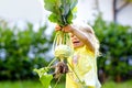 Cute lovely toddler girl with kohlrabi in vegetable garden. Happy gorgeous baby child having fun with first harvest of Royalty Free Stock Photo