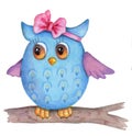 Cute lovely watercolor owl blue. Royalty Free Stock Photo