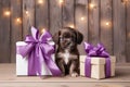 A cute lover valentine puppy dog couple with a gift box