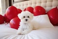 A cute lover valentine puppy dog with red balloons on white bed