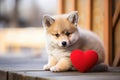 A cute lover valentine puppy dog with a red heart