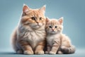 cute loving two cats, dad and son Royalty Free Stock Photo