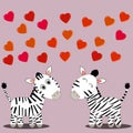 Cute loving zebras