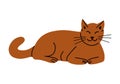 Cute lying down hand drawn brown domestic cat