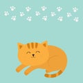 Cute lying sleeping orange cat with moustache whisker. Funny cartoon character. White animal paw print. Blue background. . Royalty Free Stock Photo