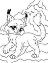 Cute lynx kitten. Children picture coloring, black stroke, white background.