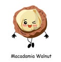 Cute macadamia nut cartoon. illustration isolated on white background