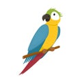 Cute macaw, ara parrot sitting on tree branch