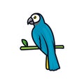 Cute macaw bird minimalist design