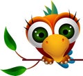 Cute macaw bird cartoon Royalty Free Stock Photo