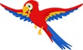 Cute macaw bird cartoon flying Royalty Free Stock Photo