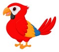 Cute Macaw bird cartoon