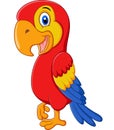 Cute macaw bird cartoon posing Royalty Free Stock Photo